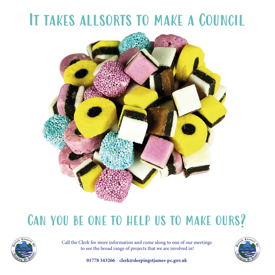 Dsj council allsorts advert